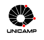 logo unicamp name line blk red 0480